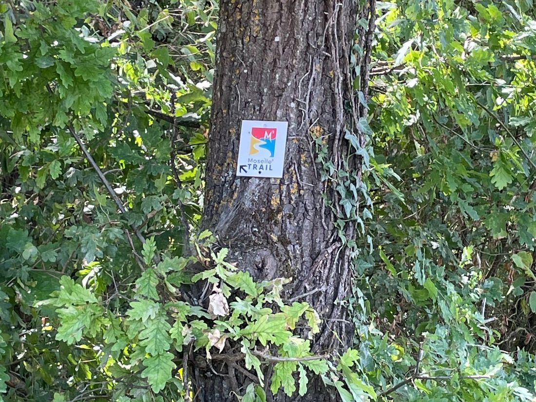Wegweisung freigeschnitten und wieder deutlich sichtbar.